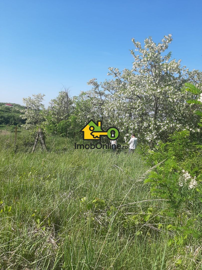 Teren de vânzare în Lugoj, judet Timis - Poză 5