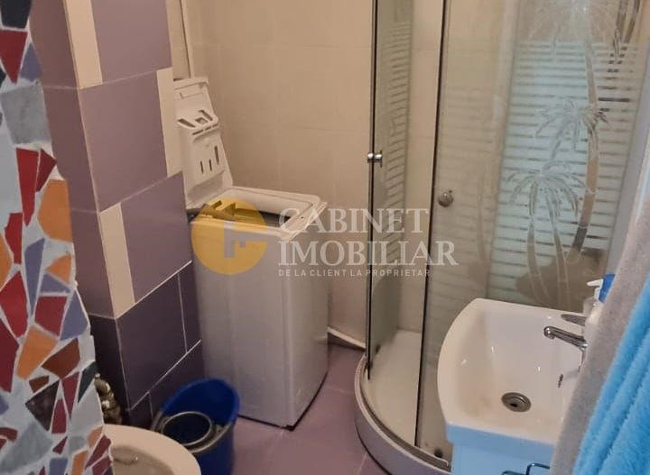 Visan - 1 camera decomandat - utilat - mobilat - 33mp - Poză 4