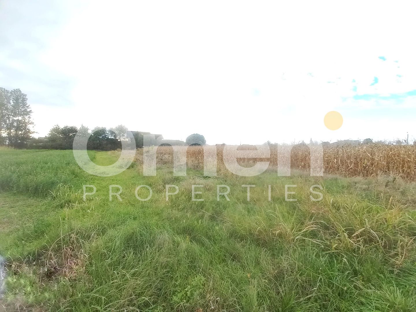 Teren intravilan de 10 arii de vânzare în Cătălina – zonă în plină dezvoltare - Poză 3