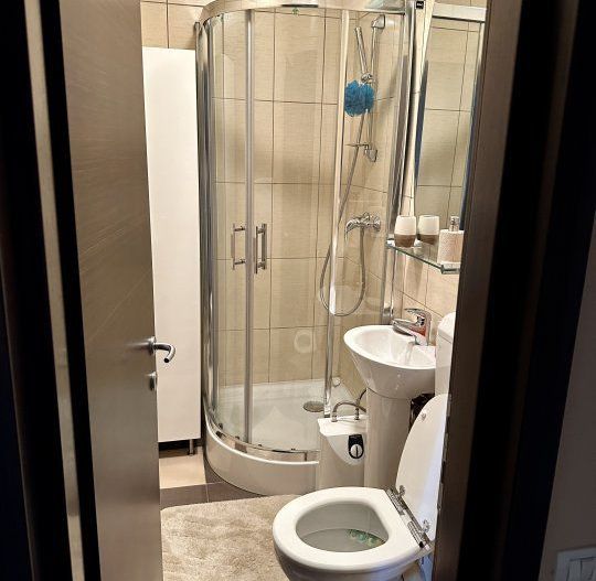 Apartament Calea 13 Septembrie | Hotel Marriot - Poză 12