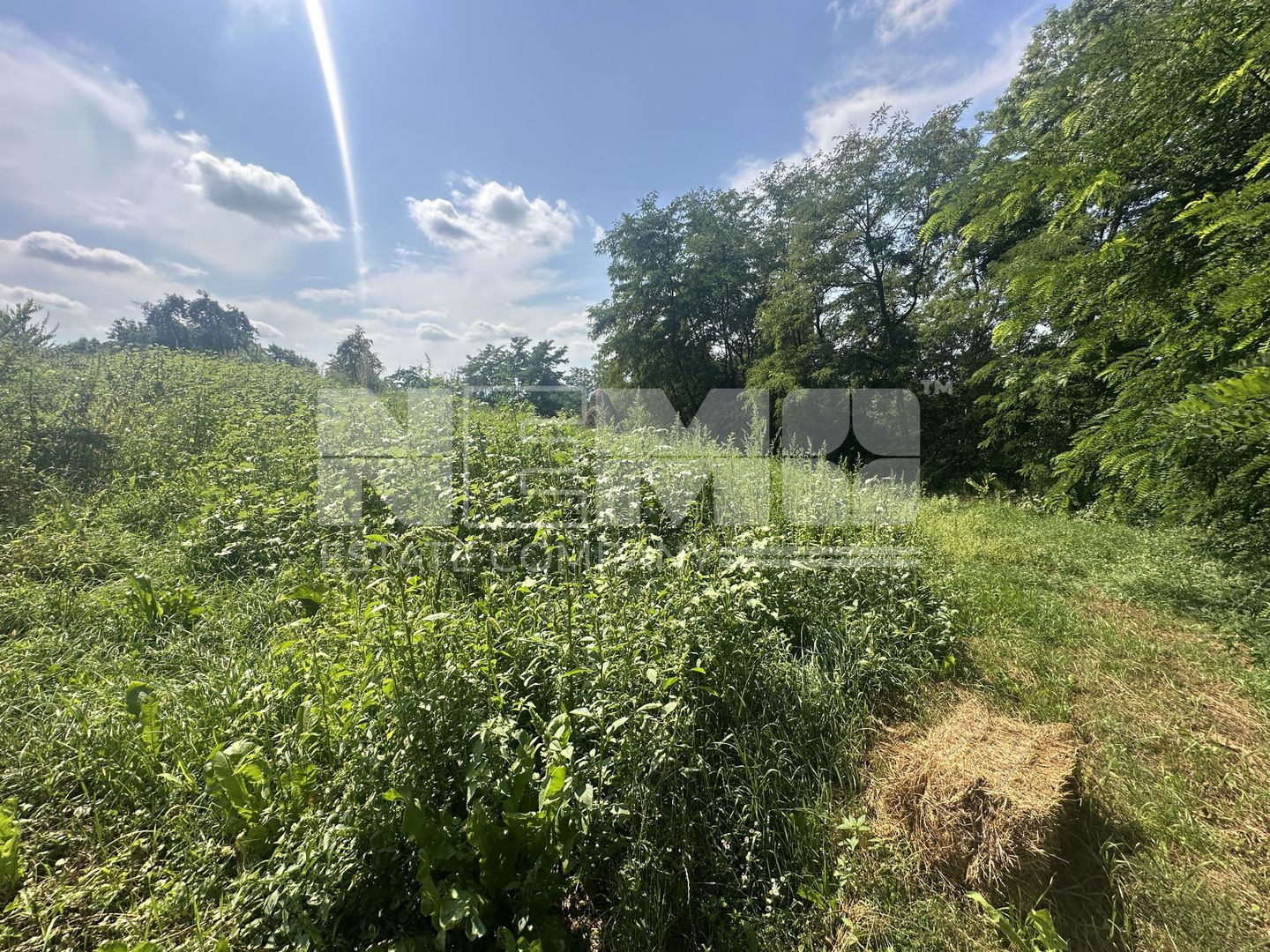 Teren Darmanesti | 41 Ari | 26.500EURO - Poză 6