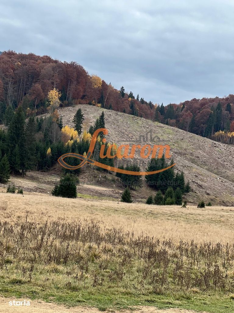 Agentia Licarom propune la vanzare teren 2,83 ha Poiana  Brasov - Poză 1