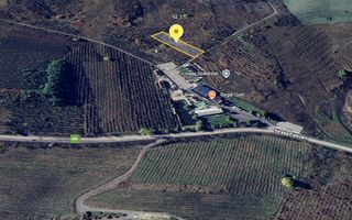 Teren extravilan Falticeni –4.000 mp - Poză 1