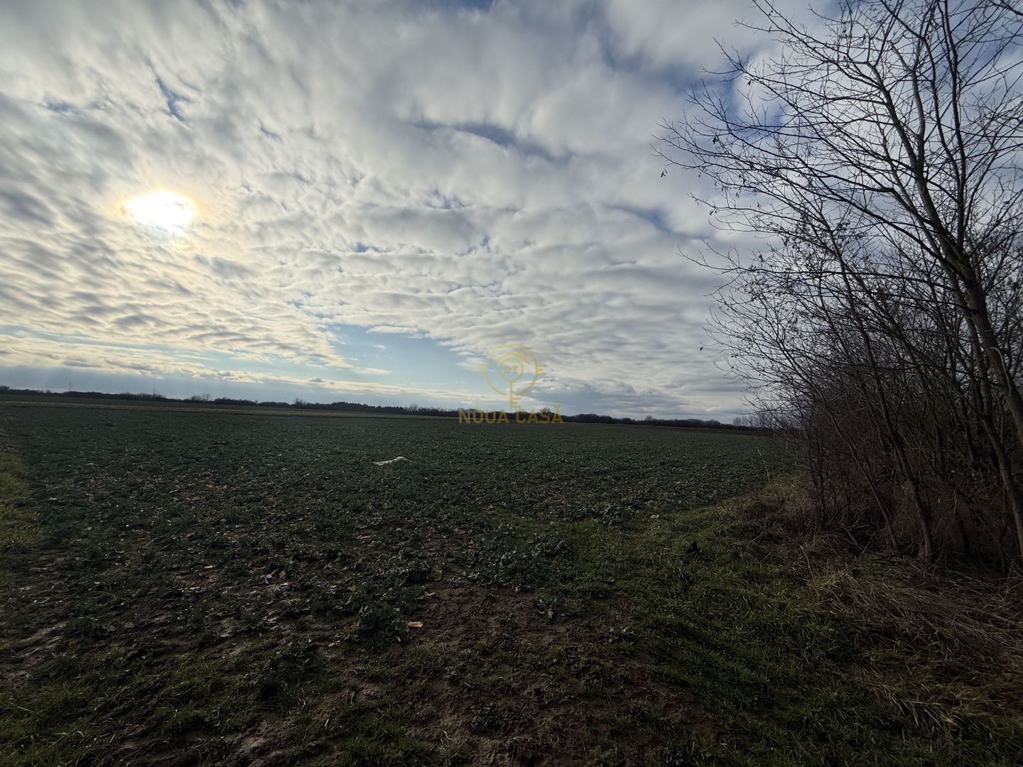 Teren 6600MP Cu Front Stradal 101 M La Intrare in Lazuri Str Botizului - Poză 3