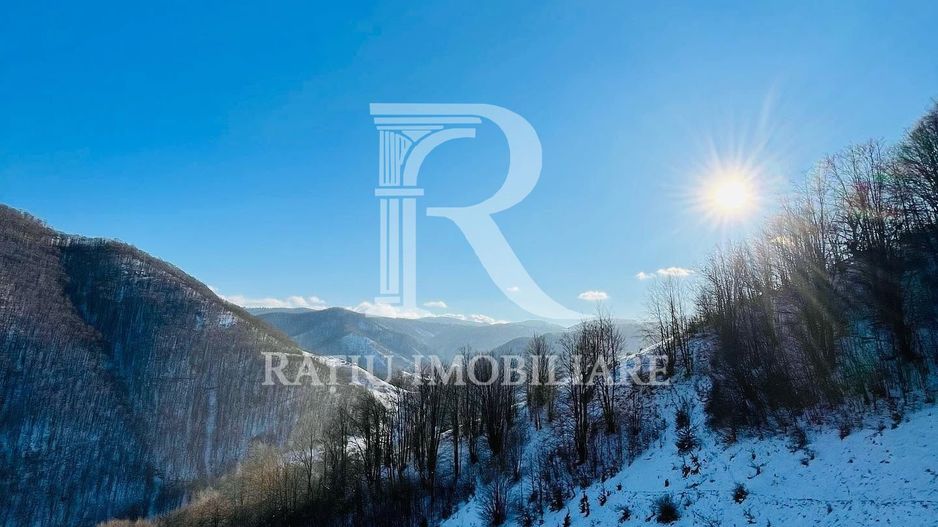 PENSIUNE DE ÎNCHIRIAT | REMEȚI | BIHOR | CIUBĂR & SAUNĂ - Poză 6