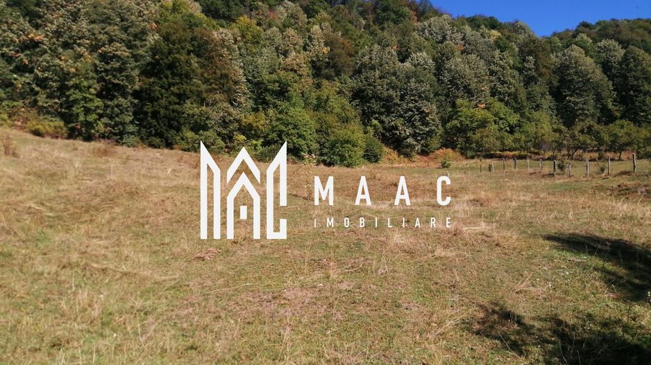 Teren Extravilan 20.000Mp I Stoenești -Vâlcea I Apă Curentă și Pădure - Poză 11