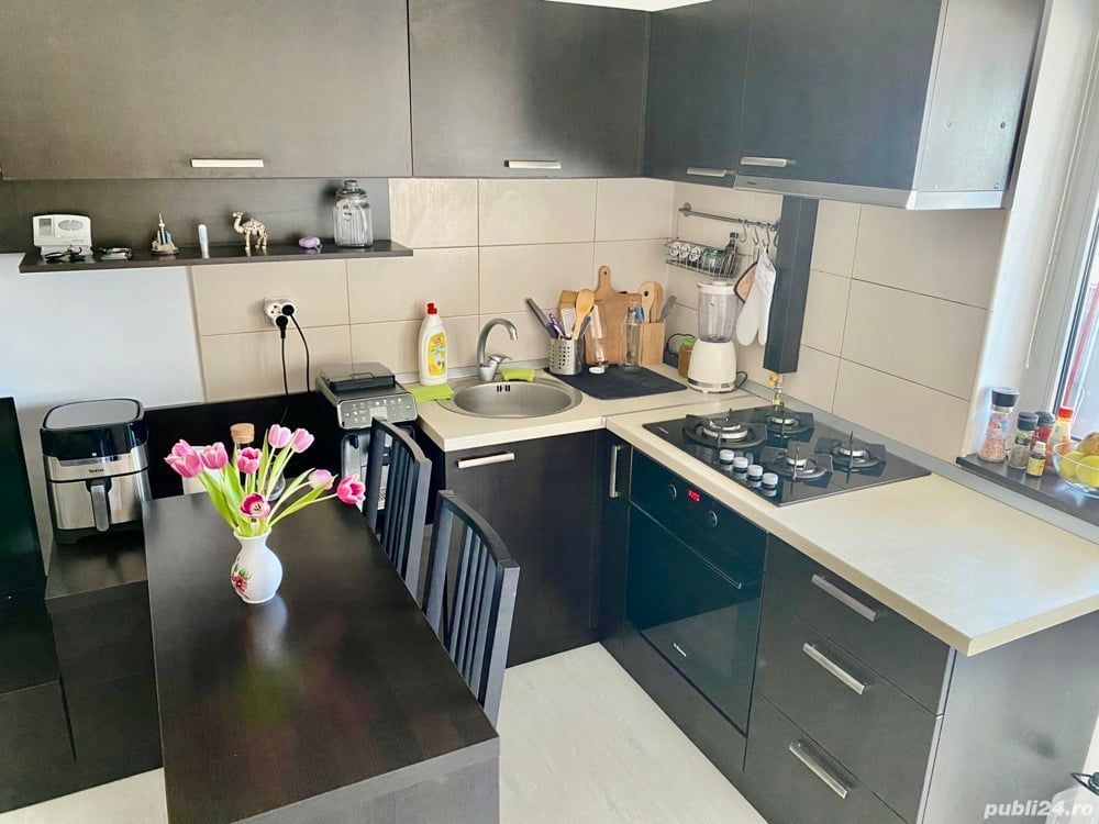Apartament 2 camere, decomandat, mobilat, centrală proprie, Dristor - Poză 8