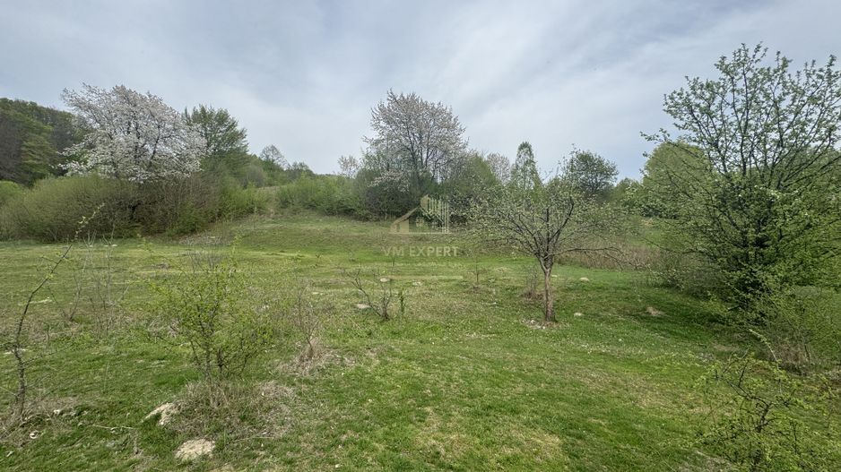 TEREN EXTRAVILAN 40000 MP, ALBESTI DE MUSCEL, CANDESTI - Poză 2