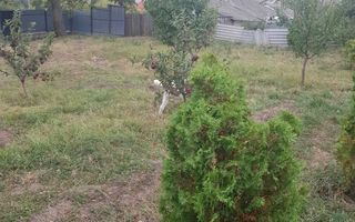 Teren intravilan - Poză 3