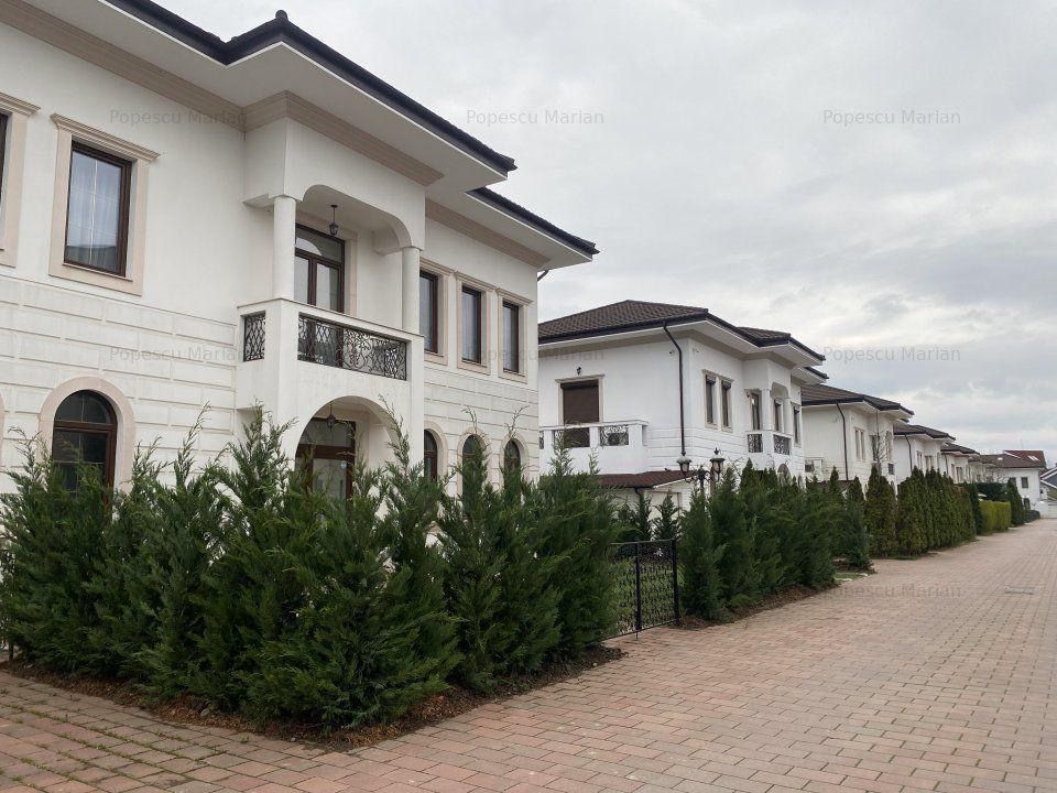 VILA CASA DE INCHIRIERE IN ZONA EROU IANCU NICOLAE PIPERA - Poză 7