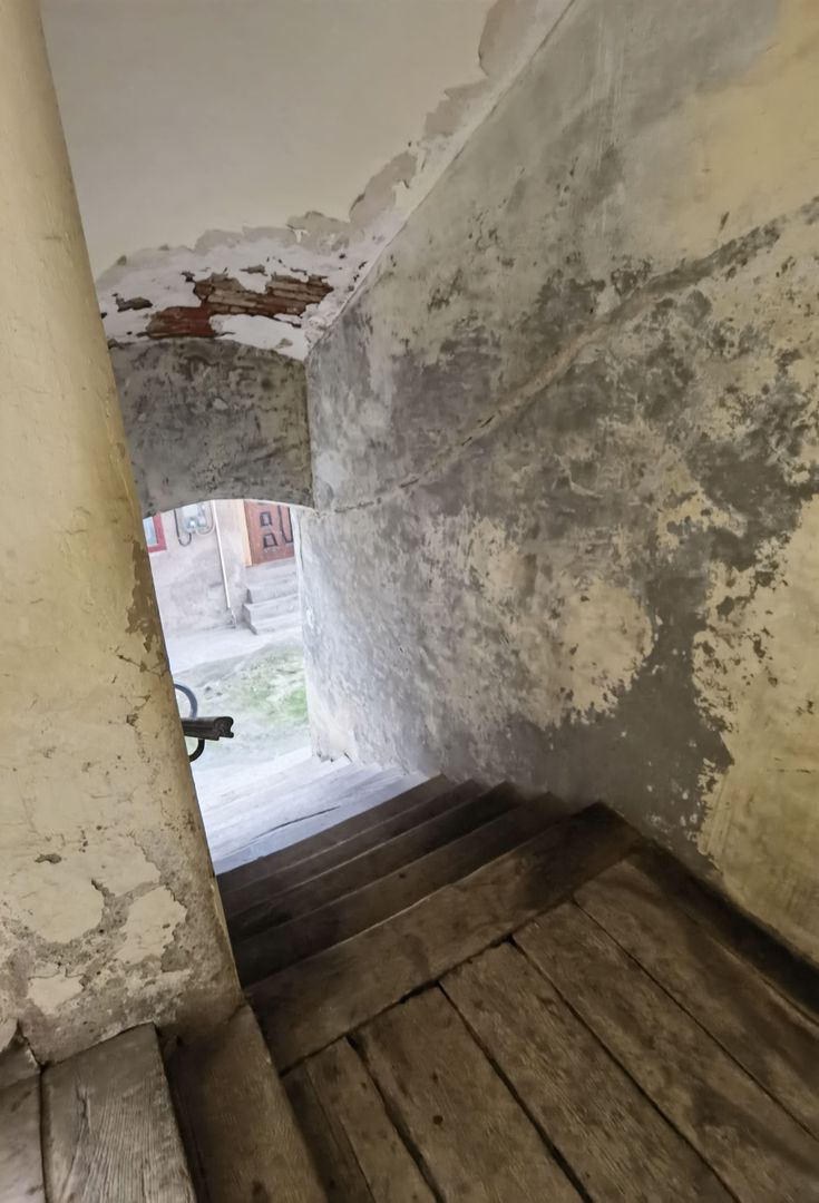 Casa cu apartamente si SAD -uri in zona Traian - Poză 7
