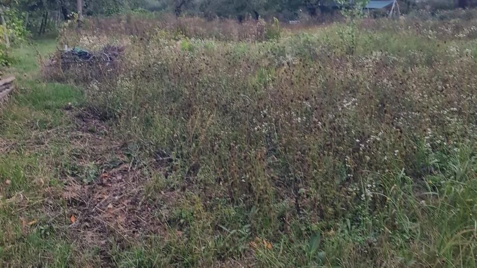 Teren Gheoghe Doja - Poză 2