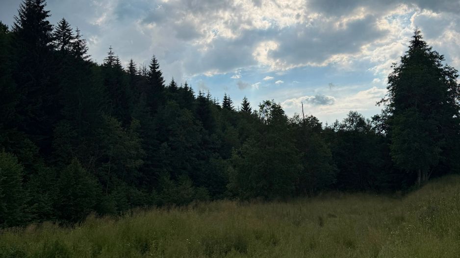 PARCELE DE VÂNZARE, pe malul râului BÂSCA, COMANDAU, COVASNA - Poză 7