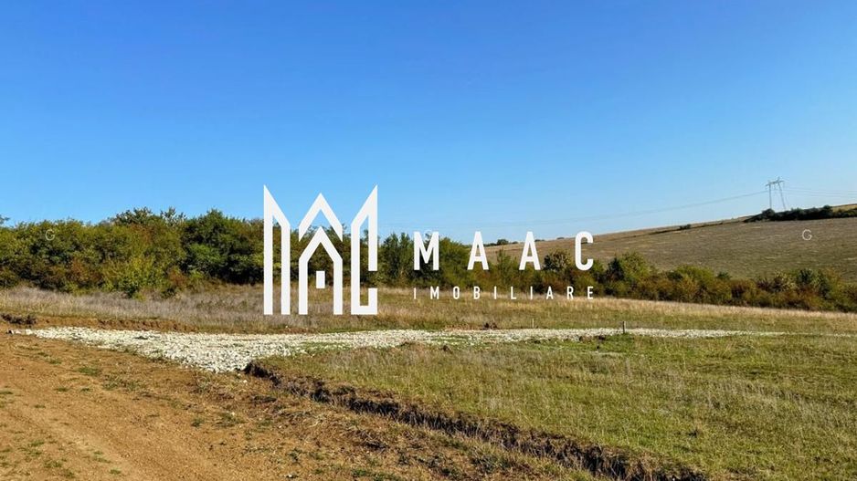 Teren | 651MP | Extravilan | Rusciori - Poză 3