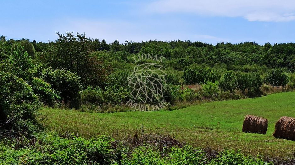 Parcele teren 4038 mp - Parcelabil - Zona Valea Stanelor - Poză 3