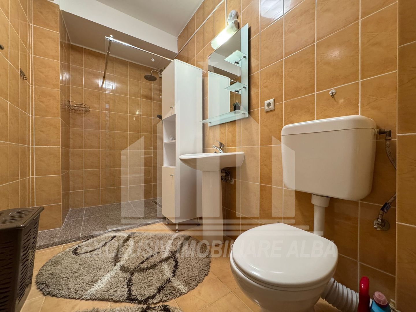 Apartament cu 2 camere de inchiriat, Cetate - Poză 7