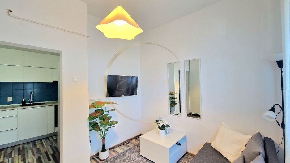 NOU | Garsonieră modernă - Blașcovici\ Ronaț | EFICIENȚĂ ȘI INTIMITATE - Poză 2