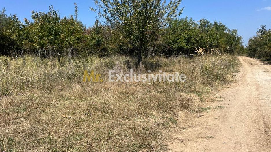 Teren intravilan 5744 mp Mosoaia-Prunilor - Poză 1