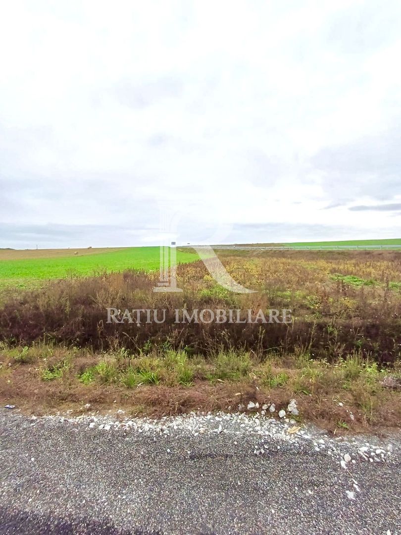 Teren Investiție | 25 €/mp | Acces Drum Metropolitan OSORHEI - Poză 6