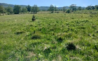 Teren extravilan | Vicovu de Jos | Preț 25.000 - Poză 1