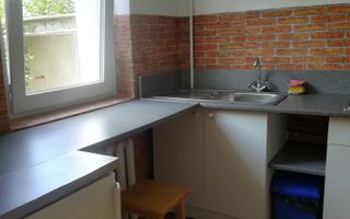 Garsoniera de inchiriat | Parter | Valea Aurie | Pet friendly - Poză 2