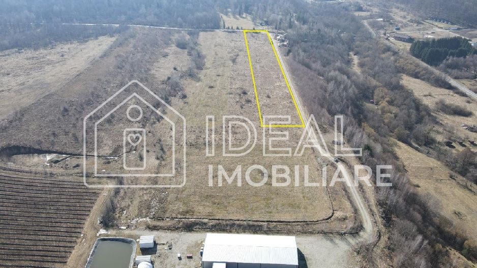 Teren extravilan 6.500 mp – Cârțișoara | Comision 0% - Poză 2