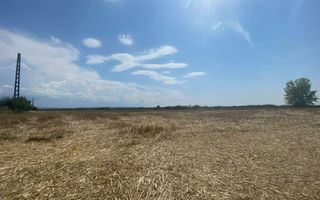 Sapient | Teren intravilan  la E60 - Poză 3