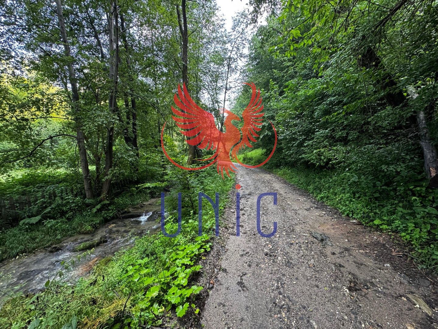 18000 mp de natura pura ,Lupeni, langa Straja - Poză 32