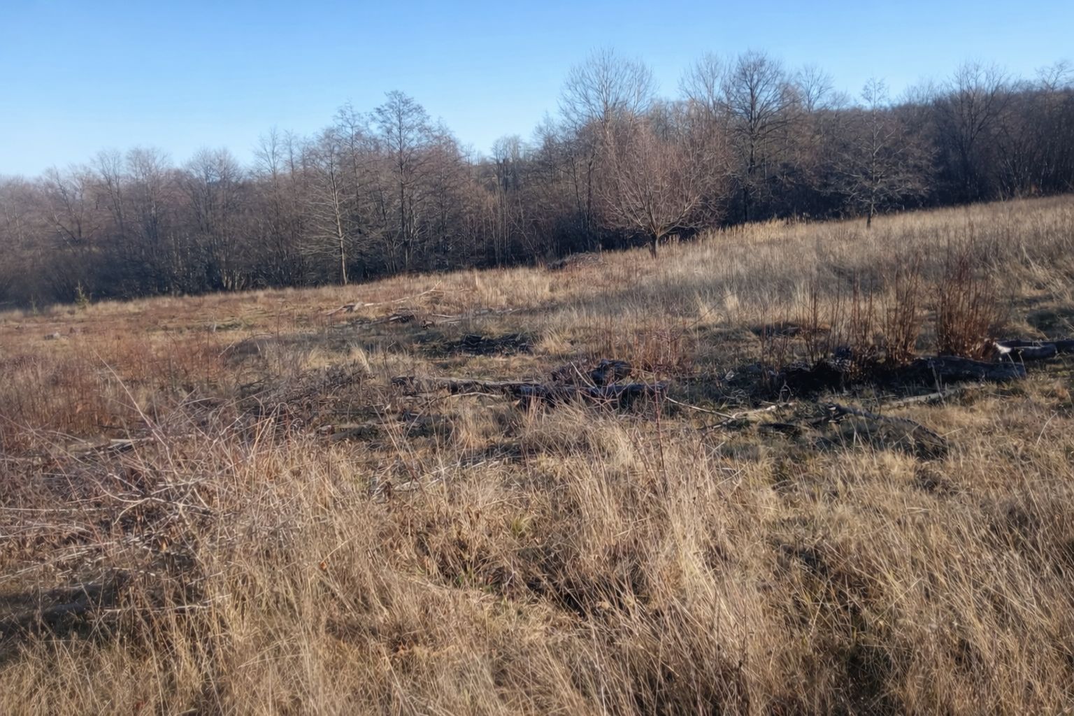 Teren extravilan | Vicovu de Jos | Preț 27.000 | Negociabil - Poză 4