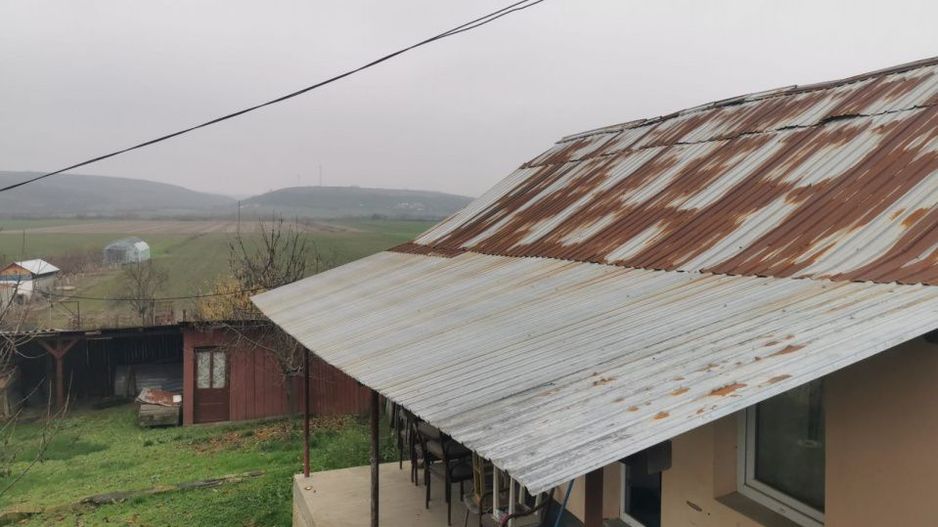 De vanzare casa in Argetoaia cu teren 7.000 mp - Poză 2