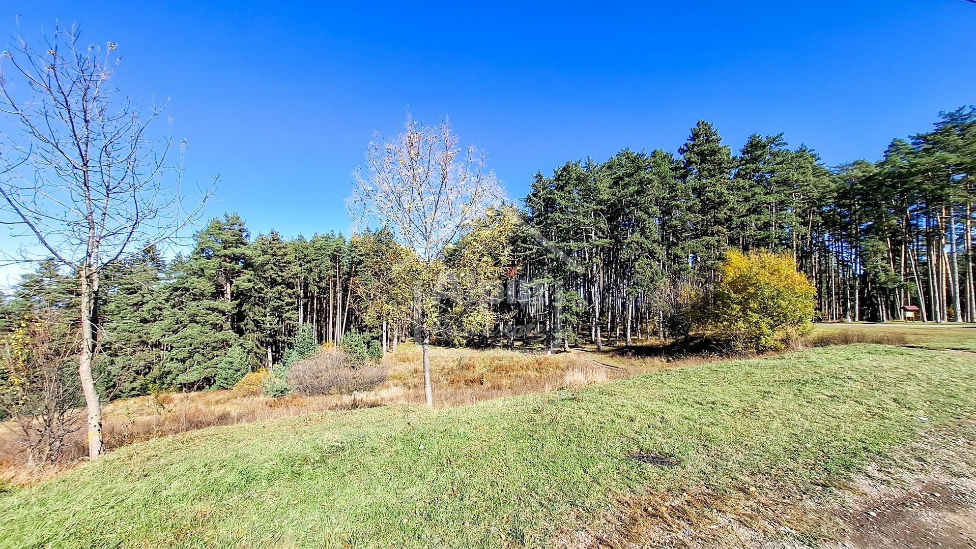 Teren Intavilan I Poiana Angelescu Sacele - Poză 16