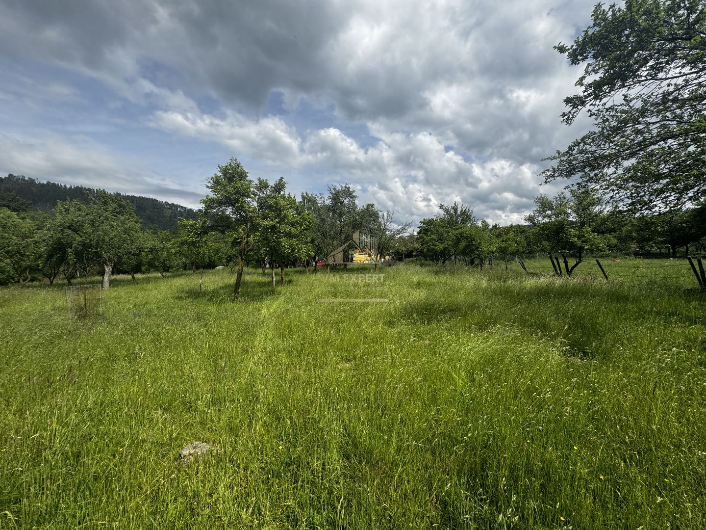 TEREN INTRAVILAN 4600 MP, VOINESTI, LERESTI, ARGEȘ - Poză 4