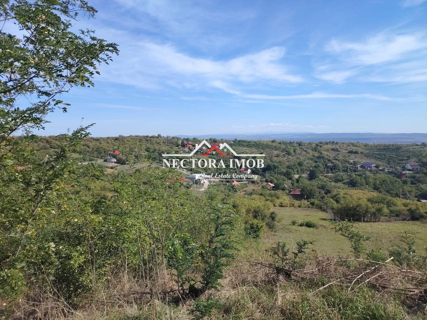 NECTORA IMOB-Teren Saldabagiu de Munte, 2350 mp, 21 ml front stradal - Poză 1