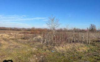 Teren intravilan, Săcădat, 27 921 mp. 9,5 Euro/mp. Comision 0. - Poză 3