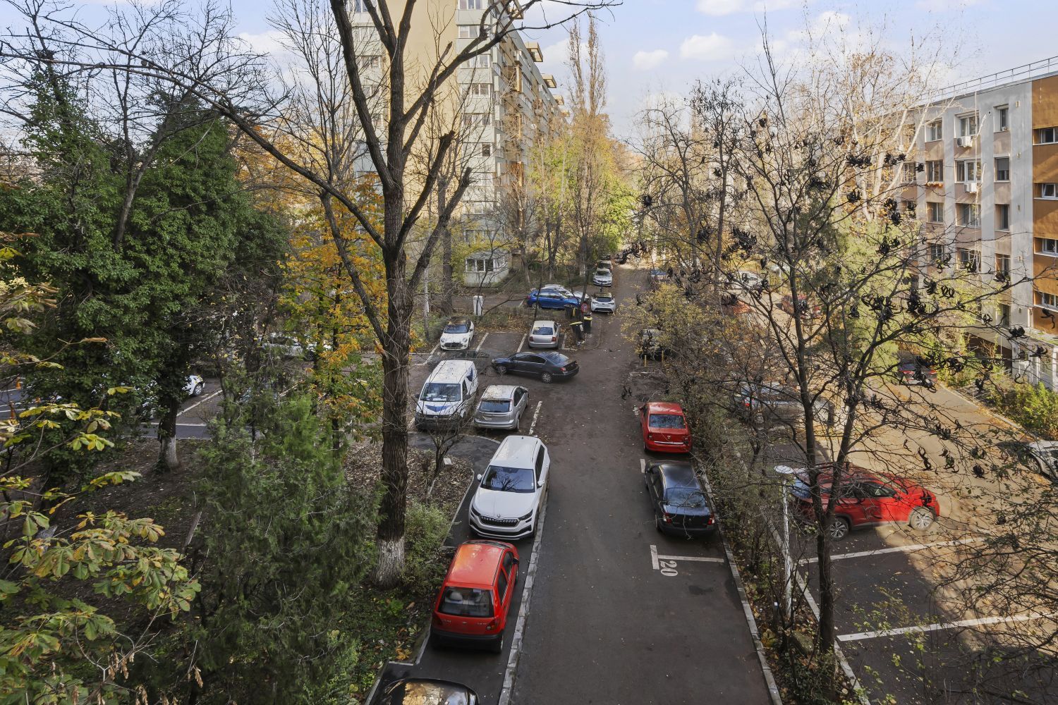 2 Camere, circular, 3/10, bloc Z, zonă foarte verde, metrou Favorit, Comision 0% - Poză 21