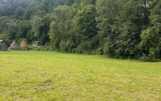 Teren pentru investiție turistică în Dâmbovicioara – Baranga | 4.500 mp | Front ~102 ml - Poză 6