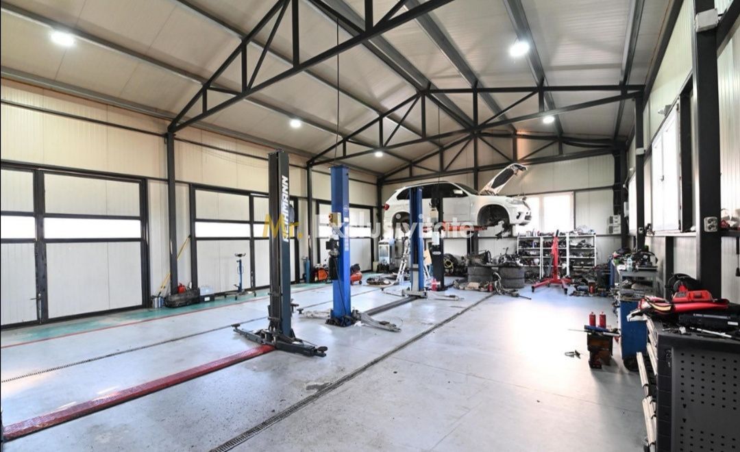 De vanzare proprietate Podari – 2 hale industriale + casa și spatiu recreativ - Poză 11