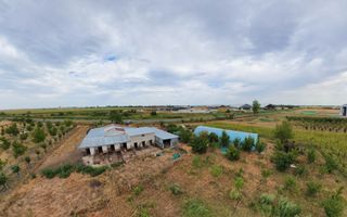 Livadă de 3,6 hectare în Iratoșu – Oportunitate - Poză 10