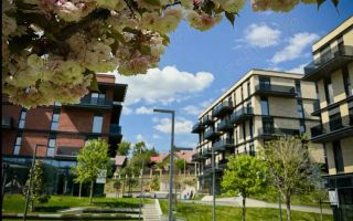 Apartament în Complex Freya Home (Family Market, Bucium) chirie, # - Poză 10