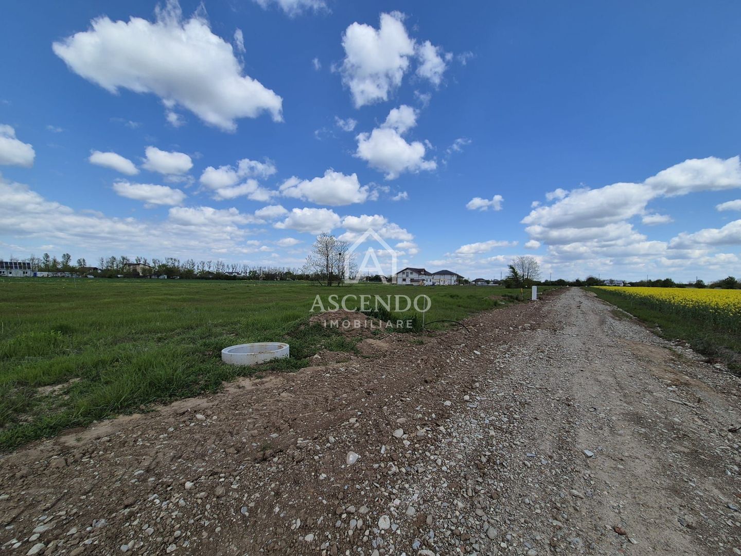 Teren intravilan 704 mp – Siliștea Snagovului | Lângă Pădurea Snagov - Poză 2