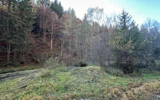 Teren 2.882 mp – oportunitate investitie - Cheile Dâmbovicioarei - Poză 18