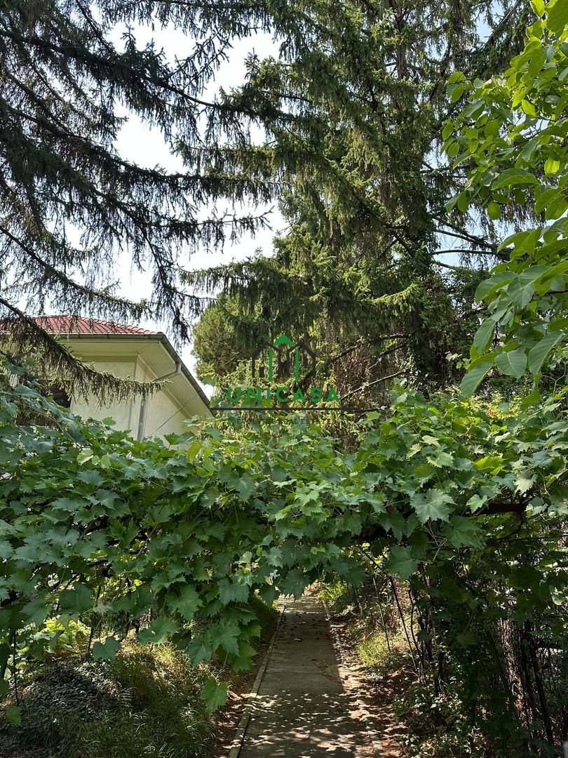 Casa si teren  - Zona Ultracentrala - Poză 7