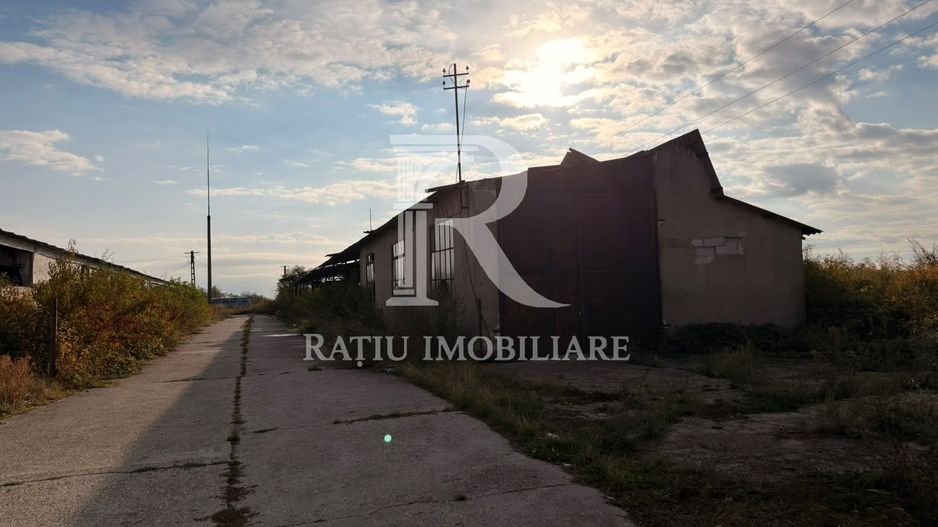 Fermă Sărand | Bihor | 25.659 mp teren intravilan - Poză 19