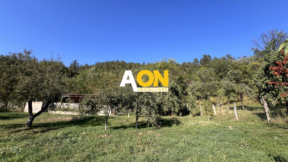 EXCLUSIVITATE | Casa de Vanzare | Valea Vintului | Teren 2980 mp - Poză 18
