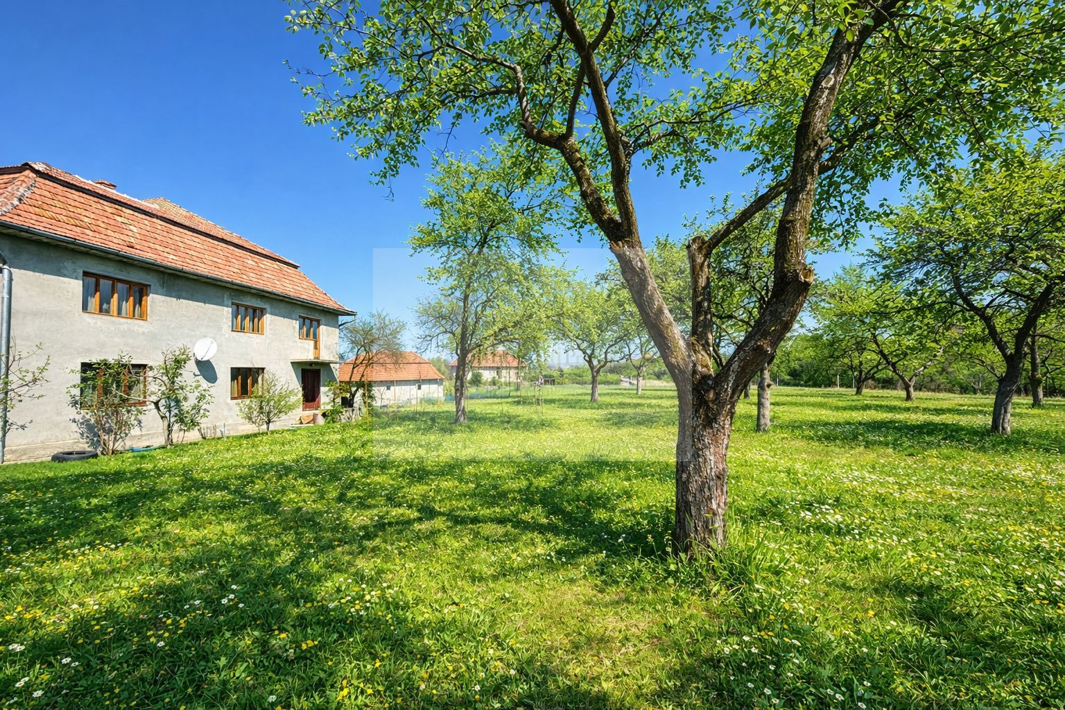 Proprietate cu potențial pensiune – sat Masca, 45 km Cluj - Poză 4