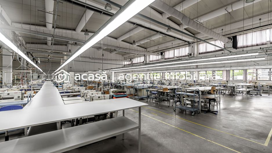 Oportunitate: Hală de producție și depozitare cu birouri în Arad - Poză 14