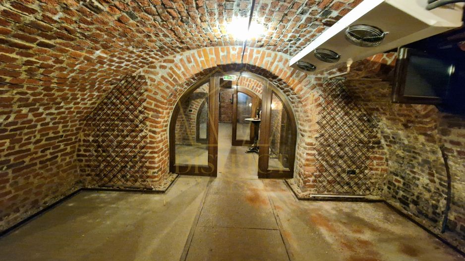 Spațiu comercial 400mp vad bun | Piața Unirii I Ultracentral - Poză 3