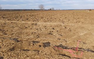 Teren de vânzare | Moara Vlăsiei | Utilități în zonă - Poză 3