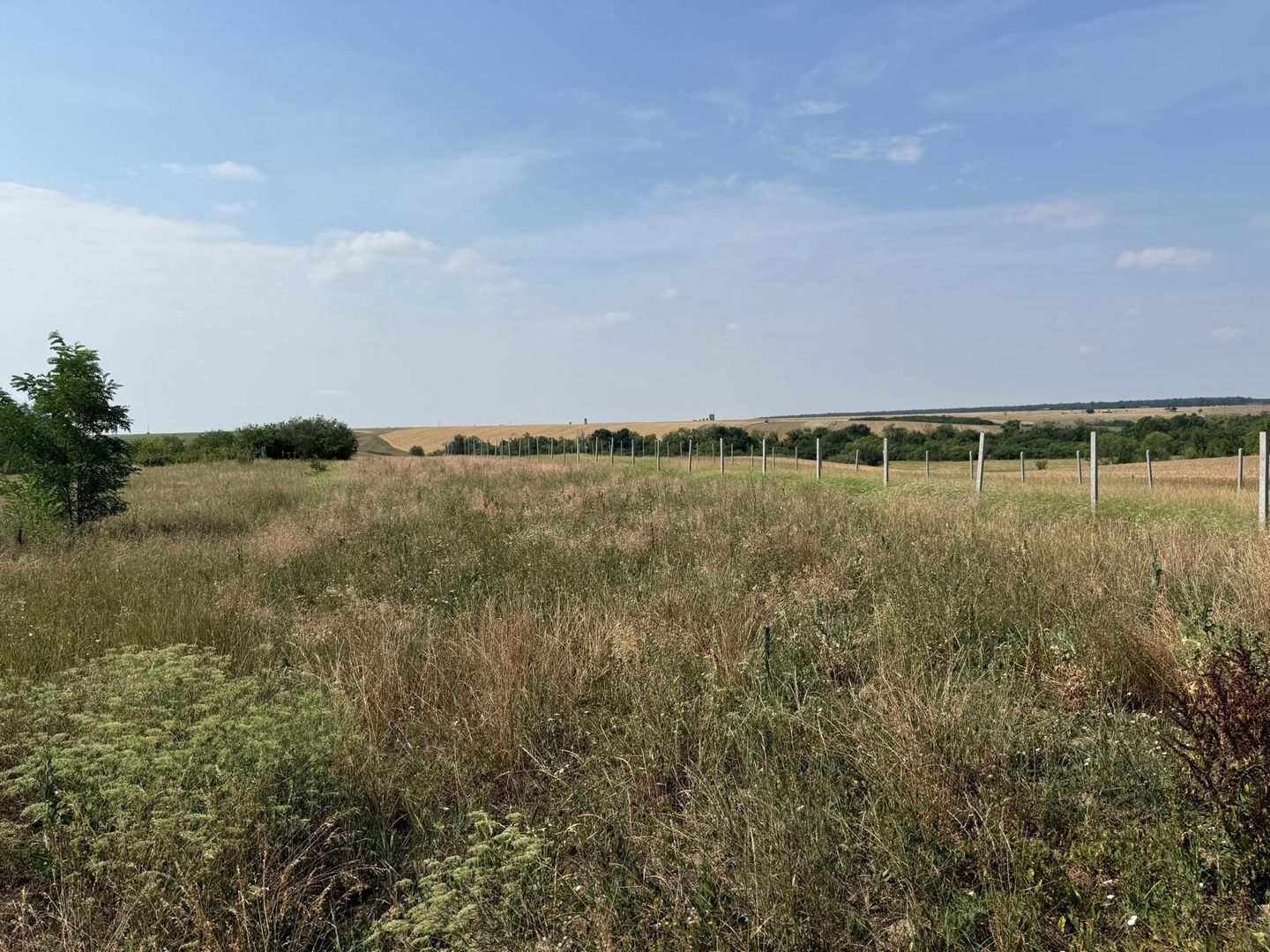 Teren intravilan Miersig, vedere la lac. 12,5 E/mp neg. Comision 0 - Poză 7
