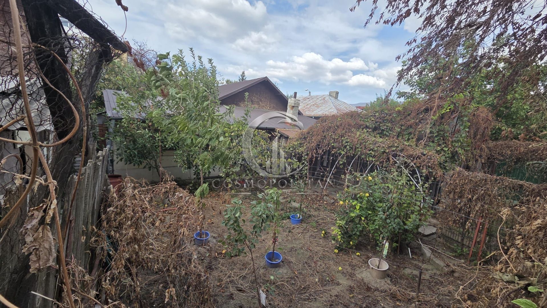 Casa / Teren ~ zona Brosteni – Iazul Morilor ~ S=314mp ~ d=12m - Poză 10